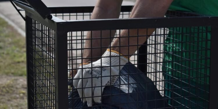 Recolección de residuos de patios en el sector 3