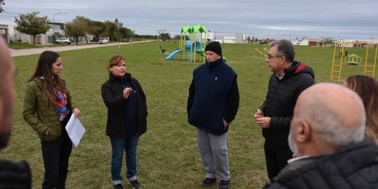 Barrio El Bosque busca tener una plaza de la «biodiversidad»
