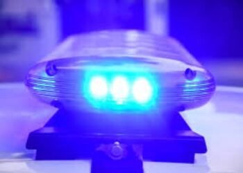 Daños en un vehículo e intento de robo