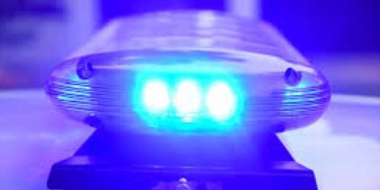 Daños en un vehículo e intento de robo