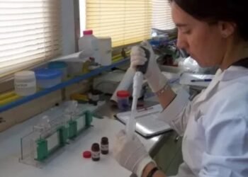 Un nuevo e inédito descubrimiento de científicas santafesinas sobre el uso de cannabis medicinal