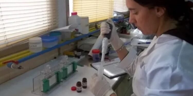 Un nuevo e inédito descubrimiento de científicas santafesinas sobre el uso de cannabis medicinal