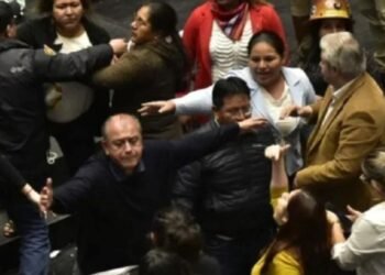 Video: legisladores a las trompadas dentro del Congreso de Bolivia