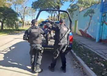 Secuestraron una moto: cédula verde adulterada