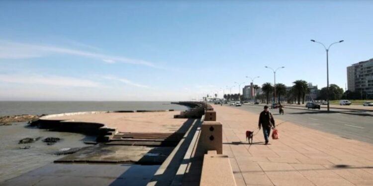 Piden hasta 1.000 pesos argentinos por dólar en Uruguay