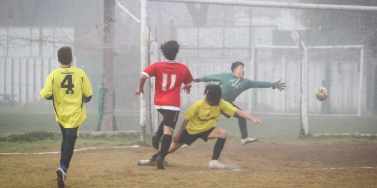 Convivencia deportiva: el plan provincial para resaltar los valores del deporte