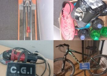 Robo y recupero de elementos