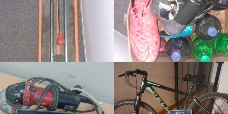 Robo y recupero de elementos