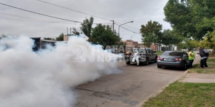 Dengue: Finalizaron los ciclos de fumigación espacial y continúan con la concientización