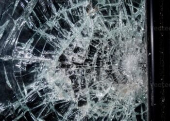 Cargado de antecedentes volvió a delinquier, pero terminó detenido