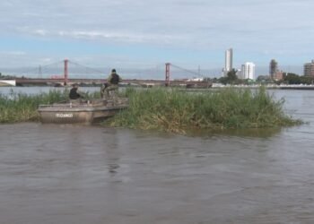 Provincia coordina la remoción del embalsado en la Laguna Setúbal