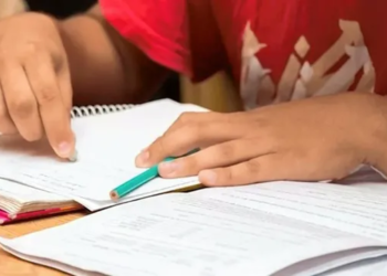 La mitad de los alumnos santafesinos de sexto grado reprueban Lengua: las posibles soluciones