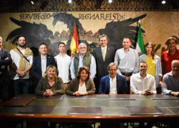 Misión técnica a España para el desarrollo de paseos comerciales a cielo abierto