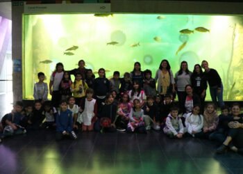 Creando Puentes, un programa para escuelas de zonas periféricas