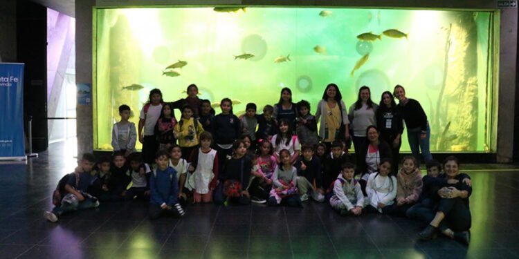 Creando Puentes, un programa para escuelas de zonas periféricas