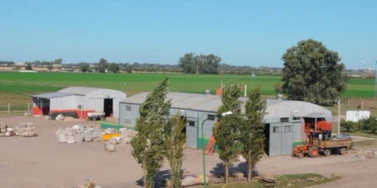 Licitan servicio de vigilancia para el Complejo Ambiental Rafaela