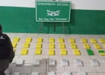 Departamento Iriondo Totoras: detuvieron a un automovilista con más de 50 kilos de cocaína