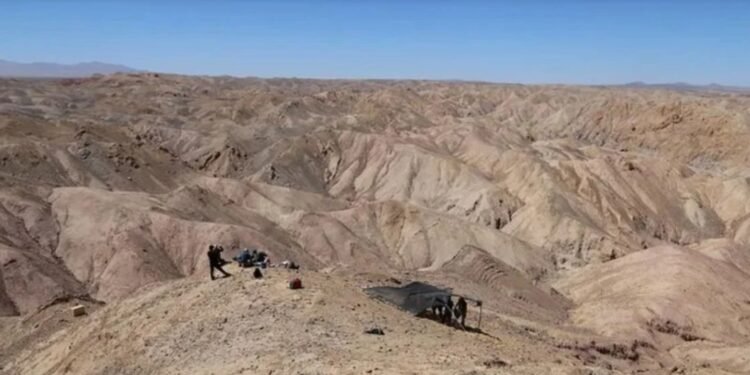 Chile El desierto de Atacama registró niveles récord de radiación solar