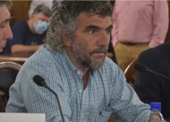 A un mes de iniciada la polémica EPE: Caussi va al Senado por tarifas del consumo presunto