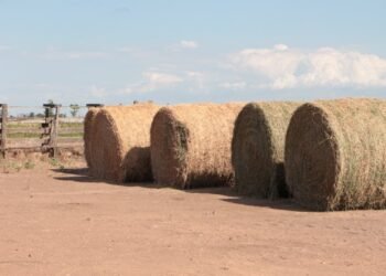 Ofrecen créditos con tasa bonificada por $5.000 mil millones al sector agropecuario