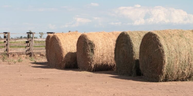 Ofrecen créditos con tasa bonificada por $5.000 mil millones al sector agropecuario