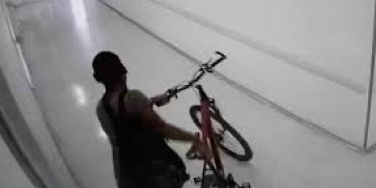 Robo de bicicletas: Nuevamente el blanco de los delincuentes