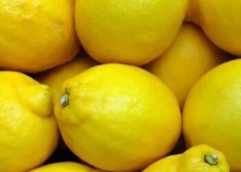 El índice se conocerá esta semana Inflación: consultores la ubican en el 9 %, el Gobierno espera menos