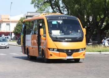 Servicios para este fin de semana largo