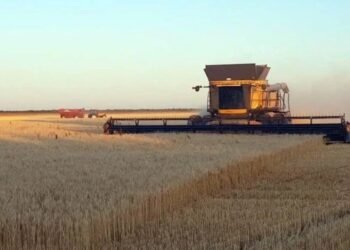 Optimismo El 74 % de los productores agropecuarios creen que su situación mejorará en los próximos meses