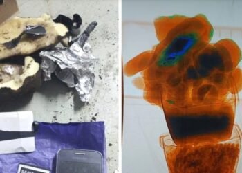 Recurso insólito Intentaron meter un celular en la cárcel de Piñero dentro de una papa