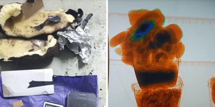 Recurso insólito Intentaron meter un celular en la cárcel de Piñero dentro de una papa