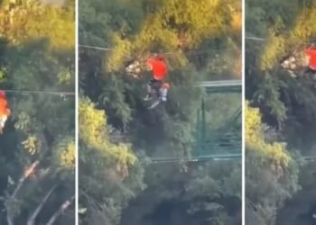 mpresionante Un nene cayó al vacío al romperse el arnés de la tirolesa en México