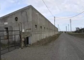 En Santa Cruz Desapareció hace 20 años, lo daban por muerto y lo encontraron en condiciones de «semiesclavitud»