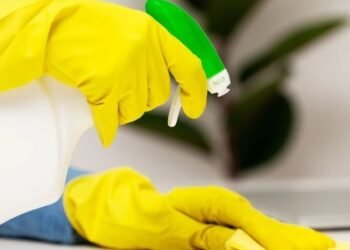 Régimen previsional Es oficial el cambio en el cálculo de pago para Empleadas Domésticas