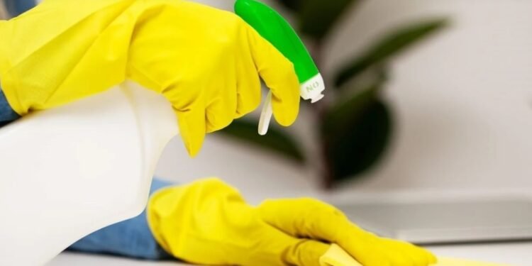 Régimen previsional Es oficial el cambio en el cálculo de pago para Empleadas Domésticas