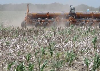 Fuerte impacto de la sequía Importante caída de las exportaciones santafesinas en el primer cuatrimestre