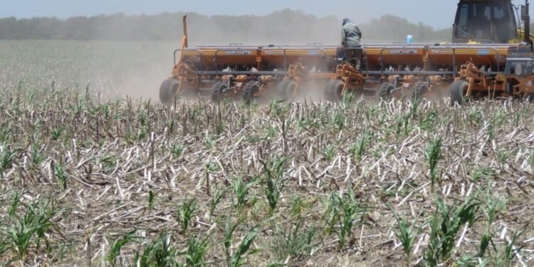 Fuerte impacto de la sequía Importante caída de las exportaciones santafesinas en el primer cuatrimestre