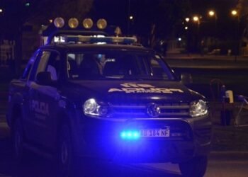 Herramientas, animales y una bicicleta: Los últimos robos en la ciudad y la región