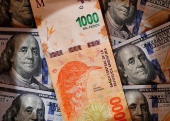 Cotizaciones Dólar hoy: el «blue» abre con una baja el martes