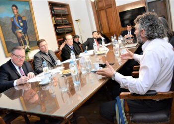 Caussi en Senadores: “Las mediciones de consumos de energía fueron ratificadas en el 99% de los casos”