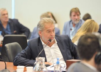 Mirabella presentó un proyecto para promover la movilidad activa