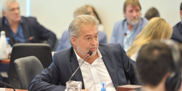 Mirabella presentó un proyecto para promover la movilidad activa