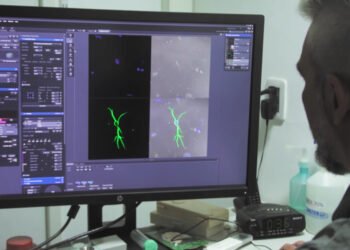 Presentaron un ciclo de documentales para conocer qué es y cómo se hace ciencia en Santa Fe