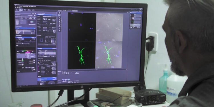 Presentaron un ciclo de documentales para conocer qué es y cómo se hace ciencia en Santa Fe