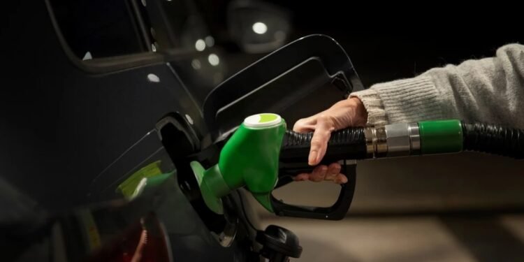 Aumento en el precio del bioetanol que se utiliza para la fabricación de combustibles