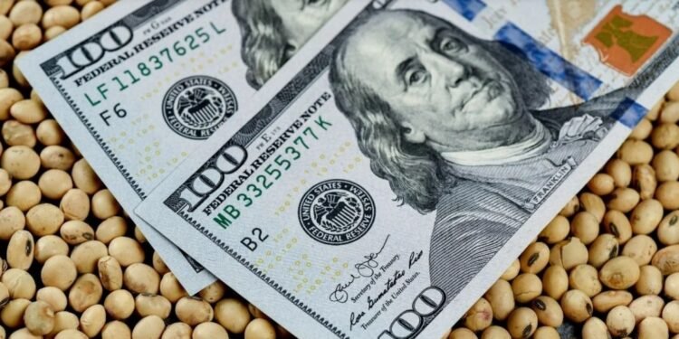 Se anunciaría hoy un nuevo dólar soja y el encarecimiento de las importaciones