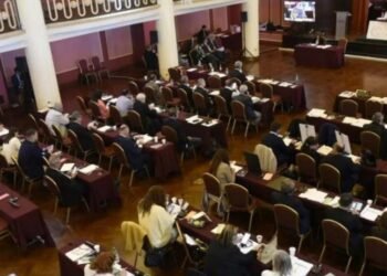 El 13 de agosto Parlamentarios del Mercosur: las otras candidaturas en las PASO nacionales