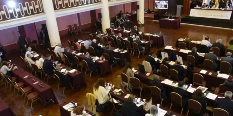 El 13 de agosto Parlamentarios del Mercosur: las otras candidaturas en las PASO nacionales