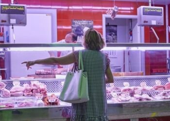 Atraso del 50 % Advierten por un incremento en el precio de la carne en Argentina