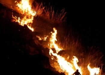 5 regiones afectadas Impactantes imágenes de los incendios en el sur de Italia